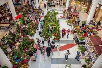 Rascvjetavanje: Sajam cvijeća i ukrasnog bilja u Podgorici