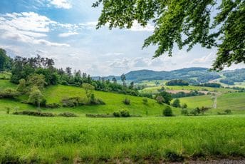 Srbija kroz objektiv ili smartphone: top 7 lokacija za savršenu foto uspomenu