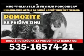 „Pomozite da prežive zimu“: Nastavlja se humanitarna akcija prikupljanja pomoći za napuštene životinje